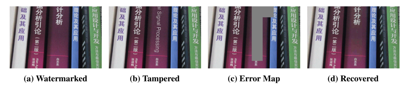Watermarked, tampered, error map, and recovered example images