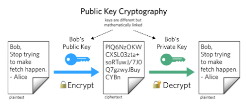Plaintext encrypted with public key, decrypted with private key