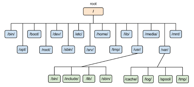 High-level overview of the Linux filesystem hierarchy branching from root