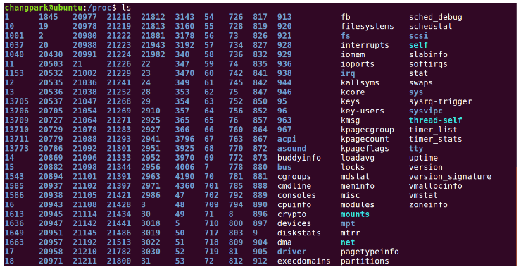 proc filesystem exposing per-process directories and kernel information